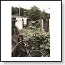 war-time garden
