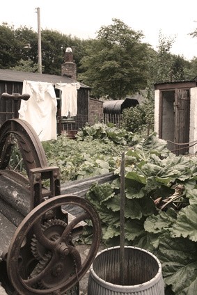 war-time garden